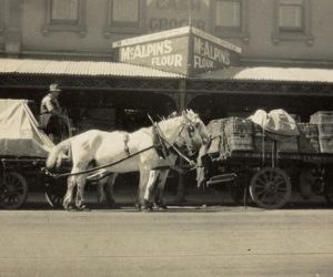 Horse & Cart Deliveries Melbourne 1886